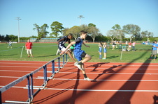 Enlarge photo 274