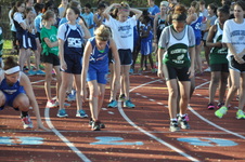 Enlarge photo 278