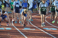Enlarge photo 280