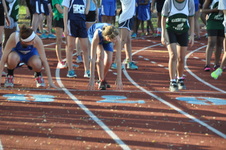 Enlarge photo 281