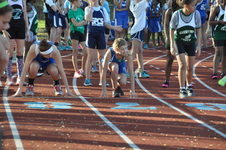 Enlarge photo 284