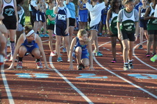 Enlarge photo 286