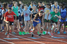 Enlarge photo 294