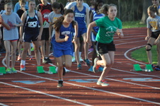 Enlarge photo 295