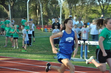 Enlarge photo 299