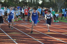 Enlarge photo 323