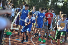 Enlarge photo 346