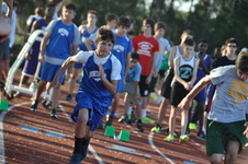 Enlarge photo 347