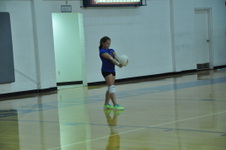 Enlarge photo 137
