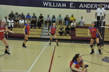 Enlarge photo 315