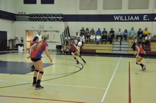 Enlarge photo 331