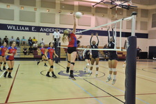 Enlarge photo 380