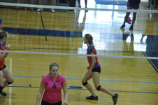 Enlarge photo 41