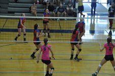 Enlarge photo 155