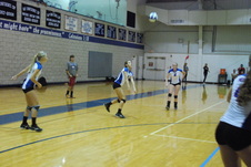 Enlarge photo 339