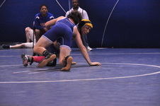 Enlarge photo 178