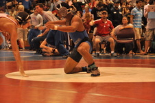 Enlarge photo 254