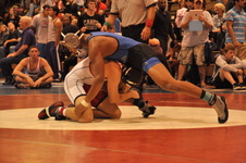 Enlarge photo 256