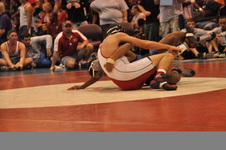 Enlarge photo 328