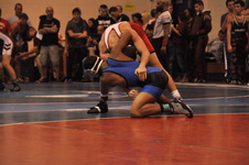 Enlarge photo 346