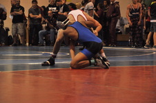 Enlarge photo 348
