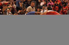 Enlarge photo 576