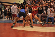 Enlarge photo 449