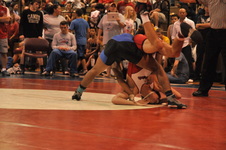 Enlarge photo 459