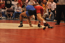 Enlarge photo 462
