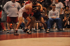 Enlarge photo 489
