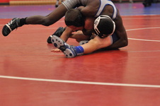 Enlarge photo 230
