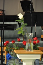 Enlarge photo 381