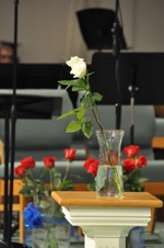 Enlarge photo 382