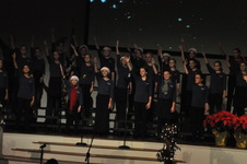 Enlarge photo 45