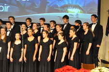 Enlarge photo 261