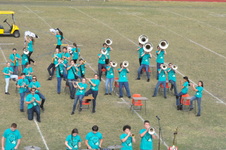 Enlarge photo 135