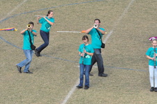 Enlarge photo 243