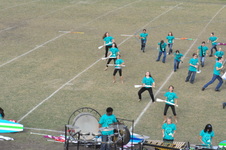 Enlarge photo 249