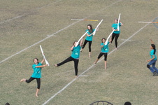 Enlarge photo 260