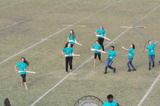 Enlarge photo 262