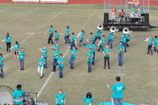 Enlarge photo 264