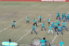 Enlarge photo 266