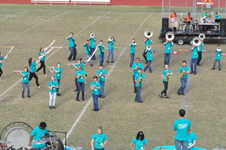 Enlarge photo 267
