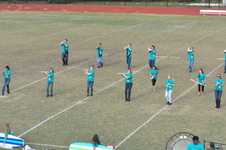 Enlarge photo 279