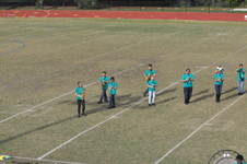Enlarge photo 495