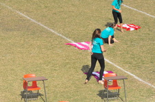 Enlarge photo 511