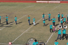 Enlarge photo 534