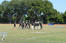 Enlarge photo 230