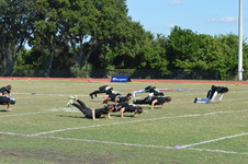 Enlarge photo 340