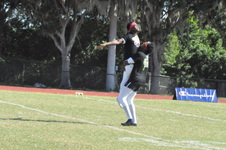 Enlarge photo 575